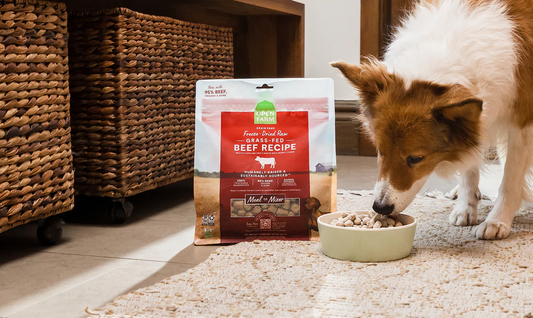 Ethical Nutrition for Every Pet